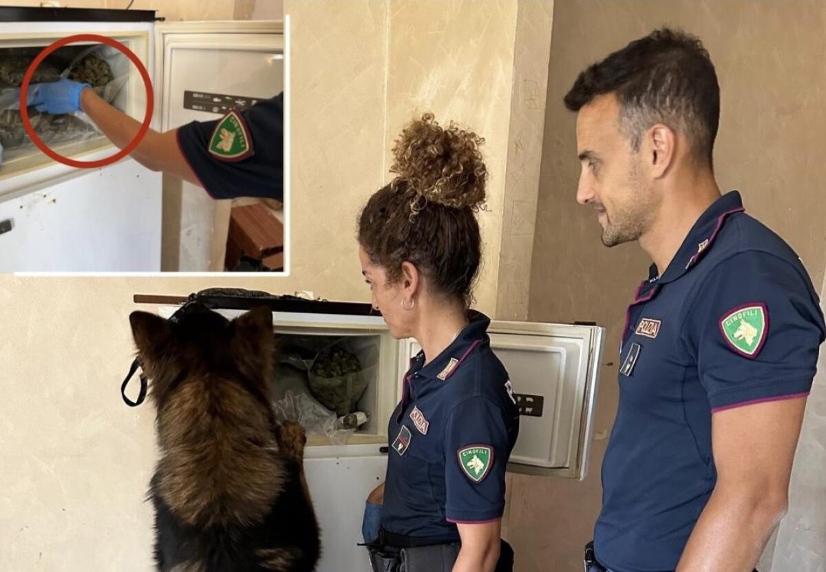 DROGA E ARMI NASCOSTI IN VANO ASCENSORE E FRIGORIFERO DI DUE PALAZZI A CATANIA - 