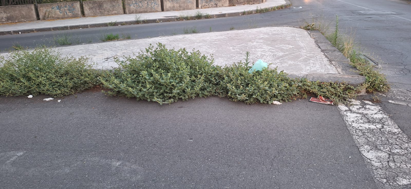 PATERNO'. NUOVI EPISODI DI INCIVILTÀ AL PARCO DEL SOLE E SEGNALAZIONI DI DEGRADO SU CORSO ITALIA DAI NOSTRI LETTORI