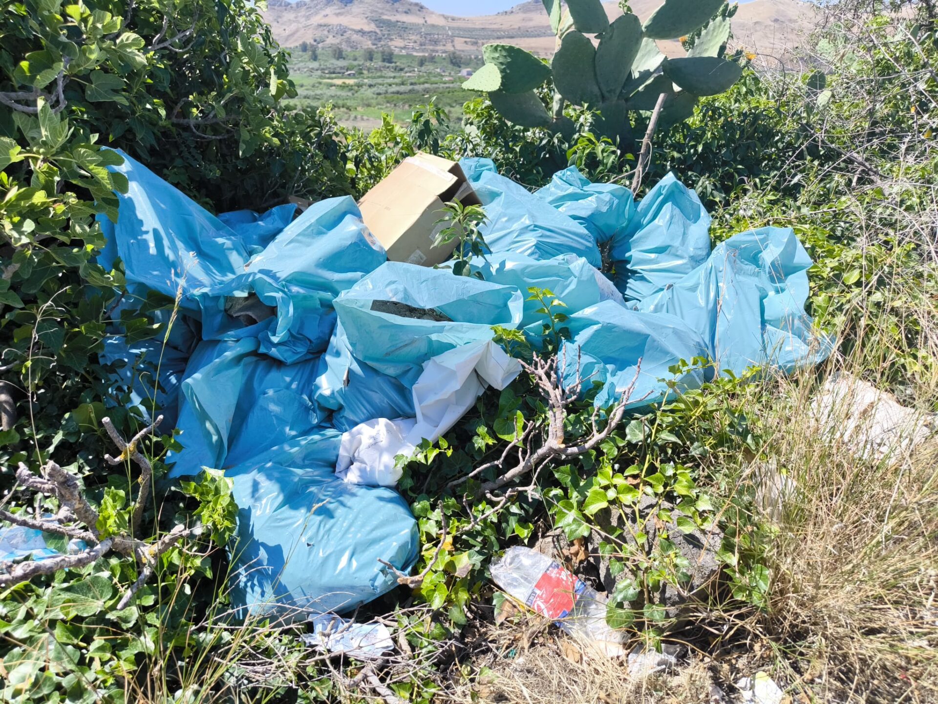LA DISCARICA A CIELO APERTO A SCHETTINO, LA FOTO-SEGNALAZIONE DEI NOSTRI LETTORI