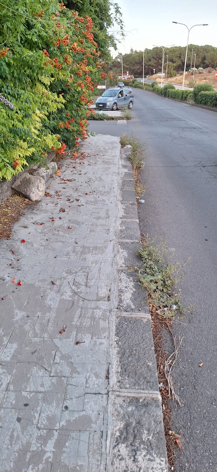 PATERNO'. NUOVI EPISODI DI INCIVILTÀ AL PARCO DEL SOLE E SEGNALAZIONI DI DEGRADO SU CORSO ITALIA DAI NOSTRI LETTORI