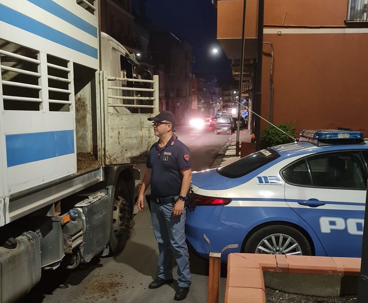 ADRANO. ANIMALI TRASPORTATI SENZA AUTORIZZAZIONE E IN CONDIZIONI PIETOSE, DENUNCIATO DAGLI AGENTI DI 38ENNE DI TORTORICI