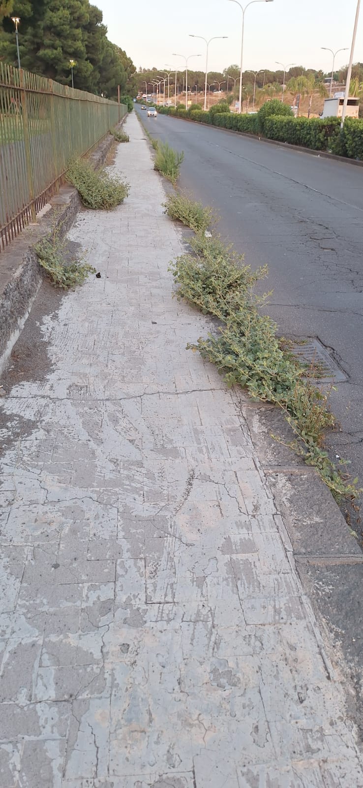 PATERNO'. NUOVI EPISODI DI INCIVILTÀ AL PARCO DEL SOLE E SEGNALAZIONI DI DEGRADO SU CORSO ITALIA DAI NOSTRI LETTORI