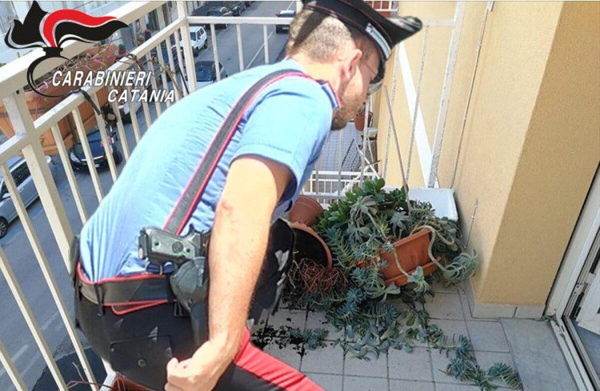 FIUMEFREDDO, PRETENDE I SOLDI DALLA MADRE E LE ROMPE TUTTE LE PIANTE SUL BALCONE: ARRESTATO - 