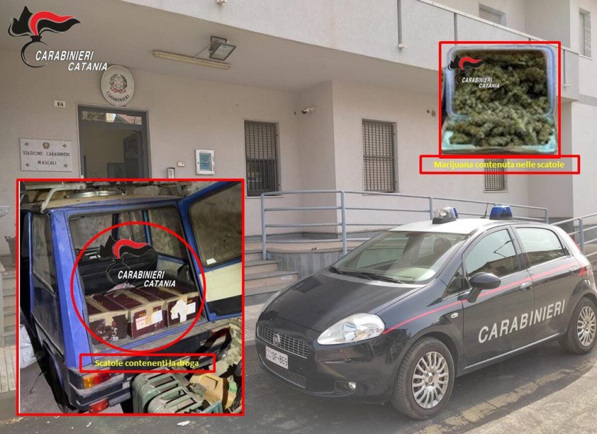 MASCALI. NASCONDEVA IN CASA OLTRE 3 CHILI DI MARIJUANA E 3 PIANTE DI CANNABIS, ARRESTATO - 