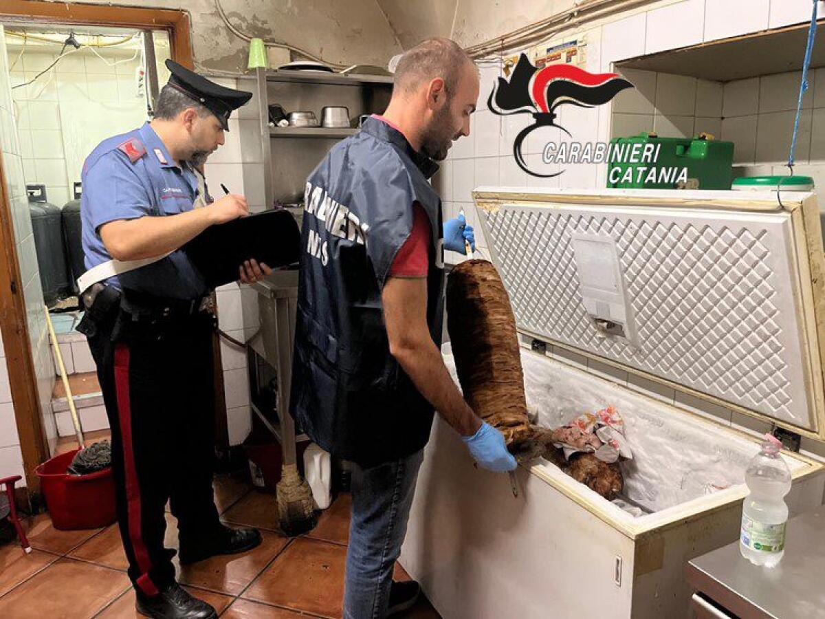 CATANIA. KEBABBARO CHIUSO PER SCARSA IGIENE, BLATTE E FORMICHE IN CUCINA, TITOLARE DENUNCIATA - 