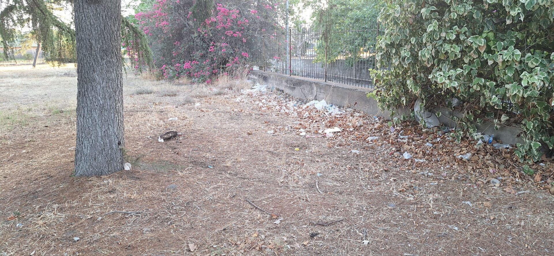 PARCO DEL SOLE IN DEGRADO: PUBBLICHIAMO LA SEGNALAZIONE DI UN GENITORE