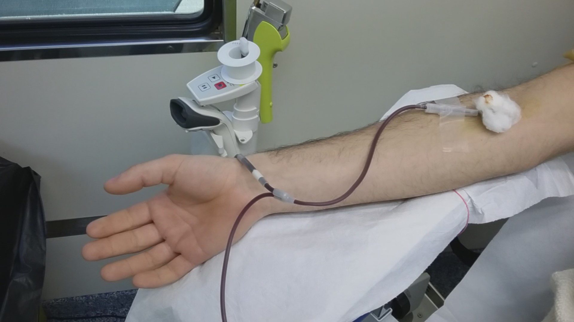 CARENZA ESTIVA DI SANGUE, FRATRES: "DONATE PRIMA DELLE FERIE"