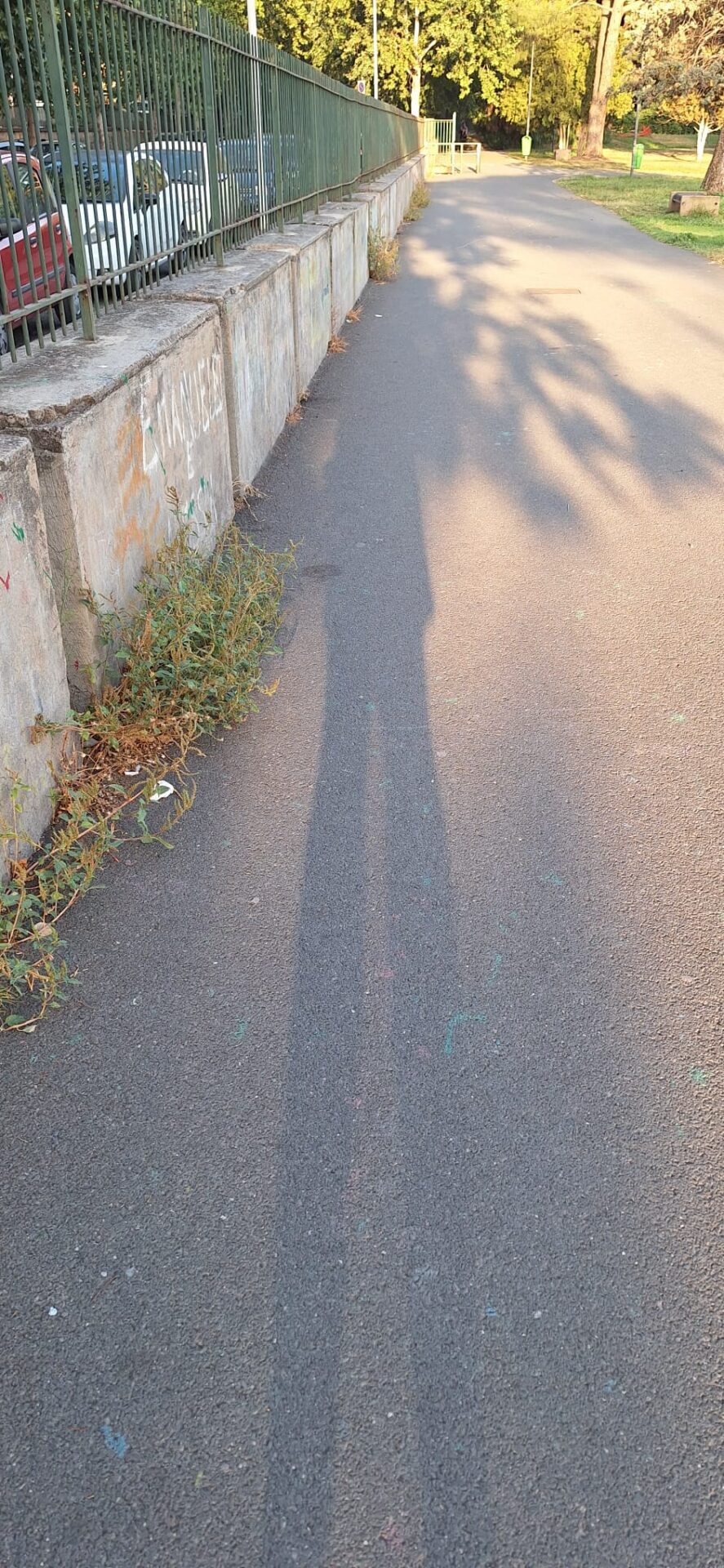 PARCO DEL SOLE IN DEGRADO: PUBBLICHIAMO LA SEGNALAZIONE DI UN GENITORE