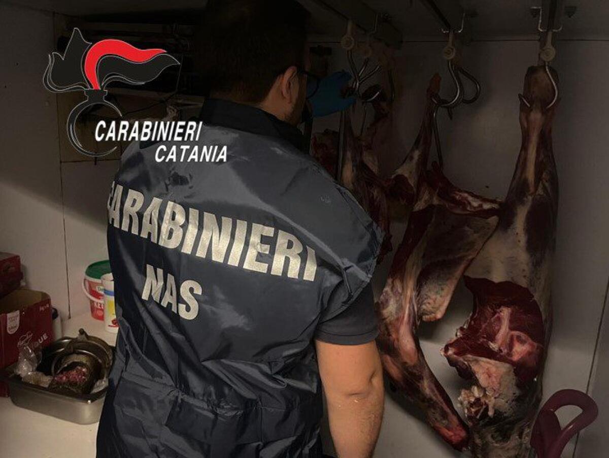 CATANIA, CONTROLLI NEI RISTORANTI E NEI FOOD TRUCK DELLA STAZIONE: SEQUESTRATI 15 KG DI CARNE - 
