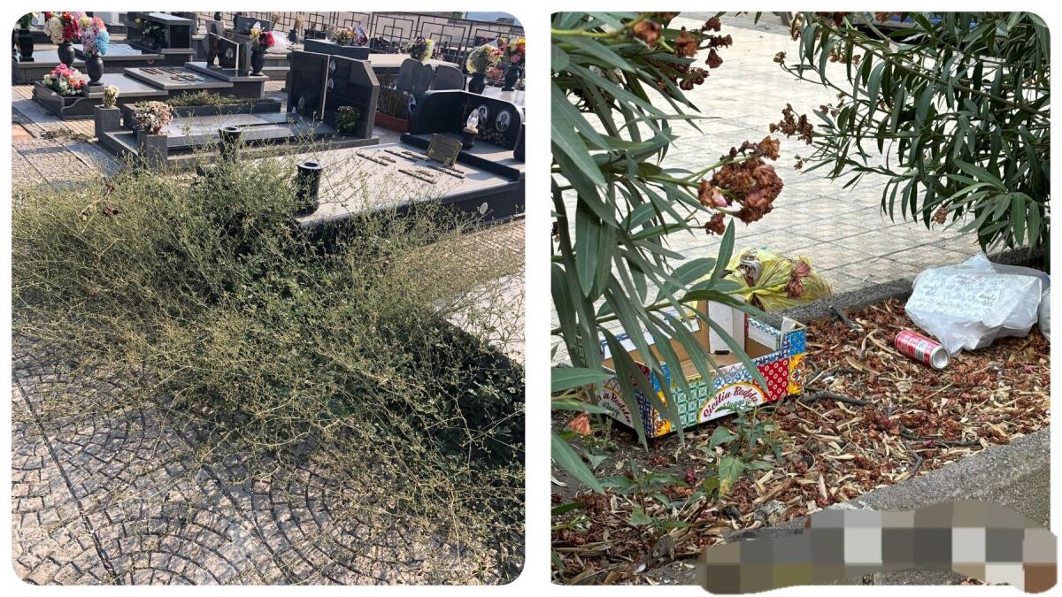 PATERNÒ. Segnalazioni dai Cittadini: Degrado al Cimitero Nuovo di Paternò e nella Piazzetta di Via Sardegna - 