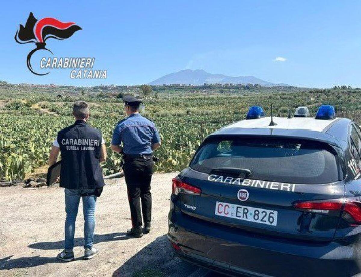 BIANCAVILLA. SEI LAVORATORI IN NERO, DENUNCIATI I TITOLARI DI DUE COOPERATIVE - 