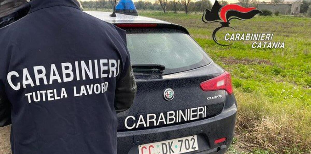 CONTROLLI SULLO SFRUTTAMENTO DEL LAVORO: DENUNCIATI 2 IMPRENDITORI AGRICOLI - 