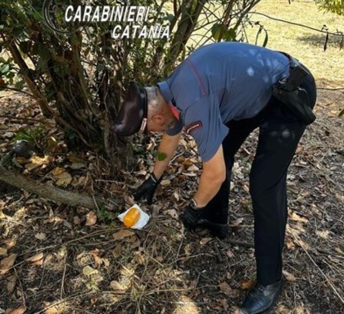 RIPOSTO, DETENUTO AI DOMICILIARI MA PUSHER STAKANOVISTA: ARRESTATO - 