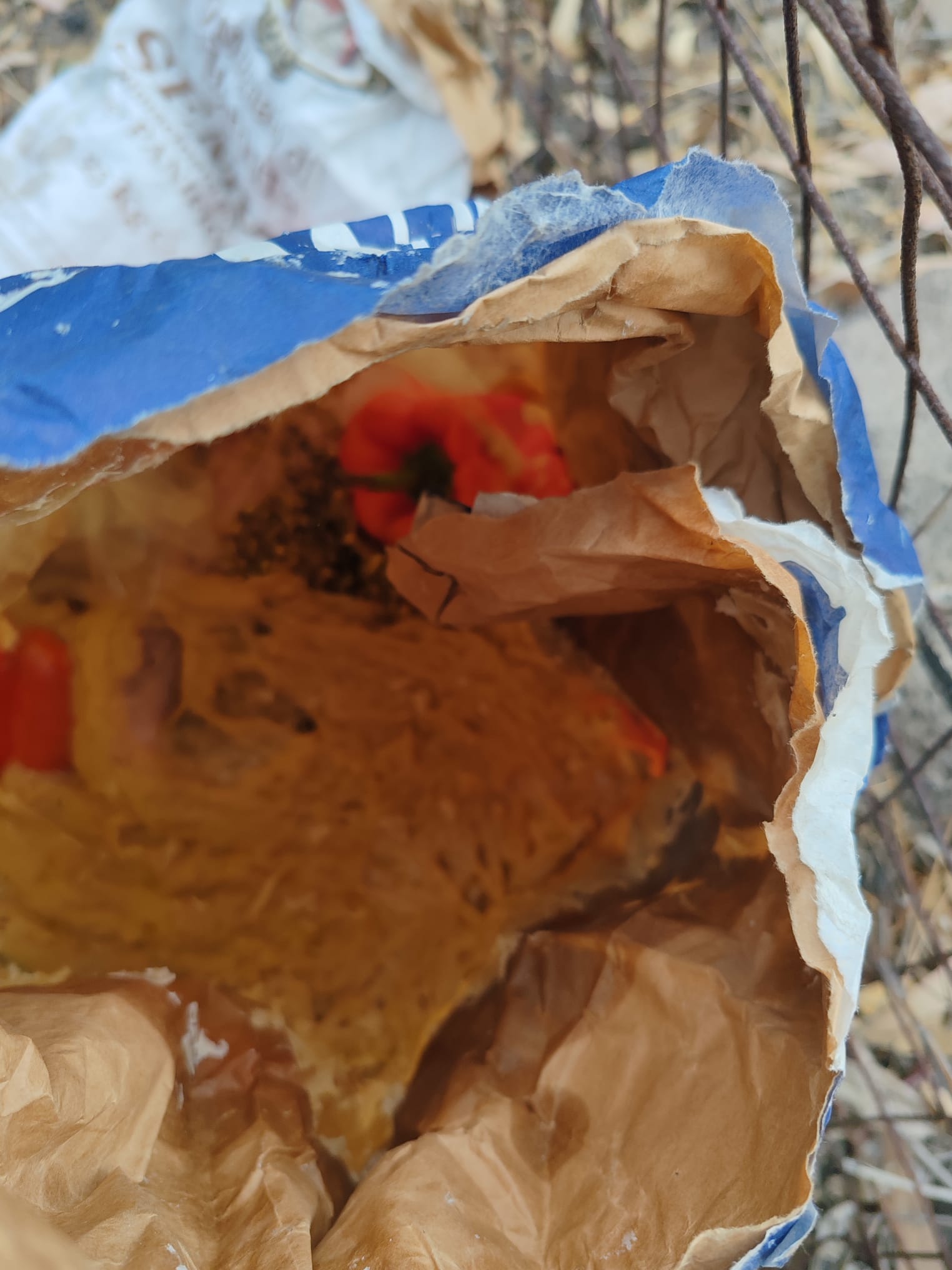 PATERNÒ. SEGNALAZIONE DEI NOSTRI LETTORI: PANETTIERE ABBANDONA IMPASTO E CENERE AI MARGINI DELLA STRADA