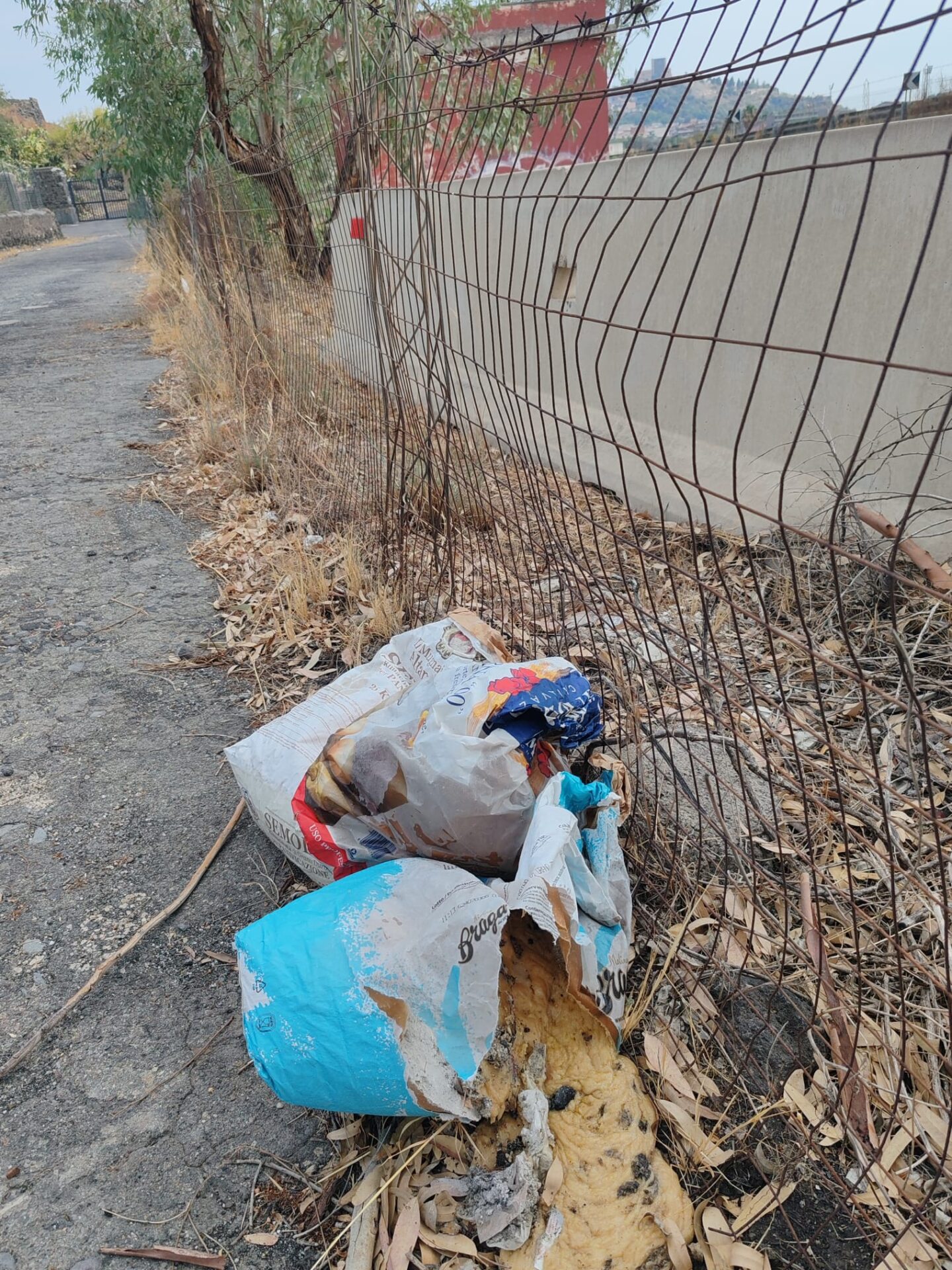 PATERNÒ. SEGNALAZIONE DEI NOSTRI LETTORI: PANETTIERE ABBANDONA IMPASTO E CENERE AI MARGINI DELLA STRADA
