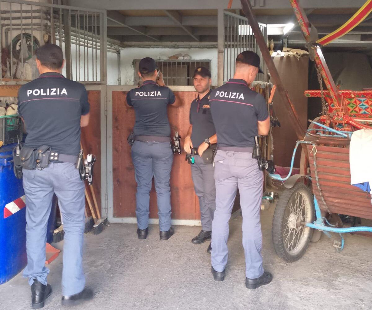 UN CAVALLO NEL GARAGE, 42ENNE DI ACIREALE DENUNCIATO PER MALTRATTAMENTO DI ANIMALI E SANZIONATO PER 9 MILA EURO - 