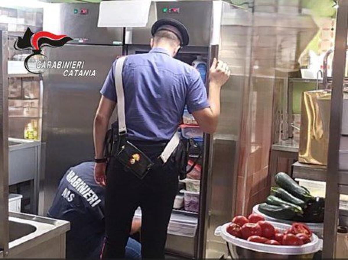 CATANIA, BLITZ NEI LOCALI: KEBAB MULTATO PER MANCATO HACCP, RAFFICA DI SANZIONI SULLE STRADE - 