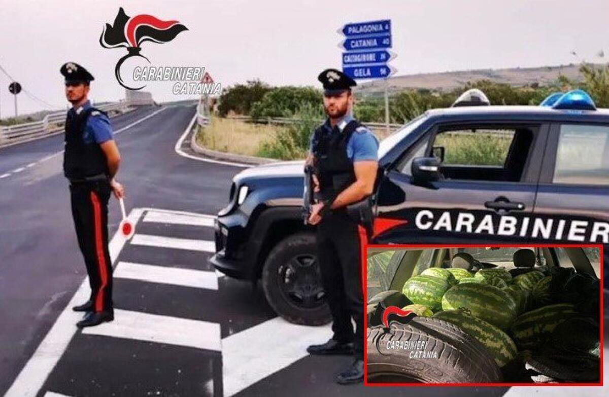 RAMACCA, TROVATI CON 500 CHILI DI ANGURIE RUBATE: FERMATI E DENUNCIATI - 