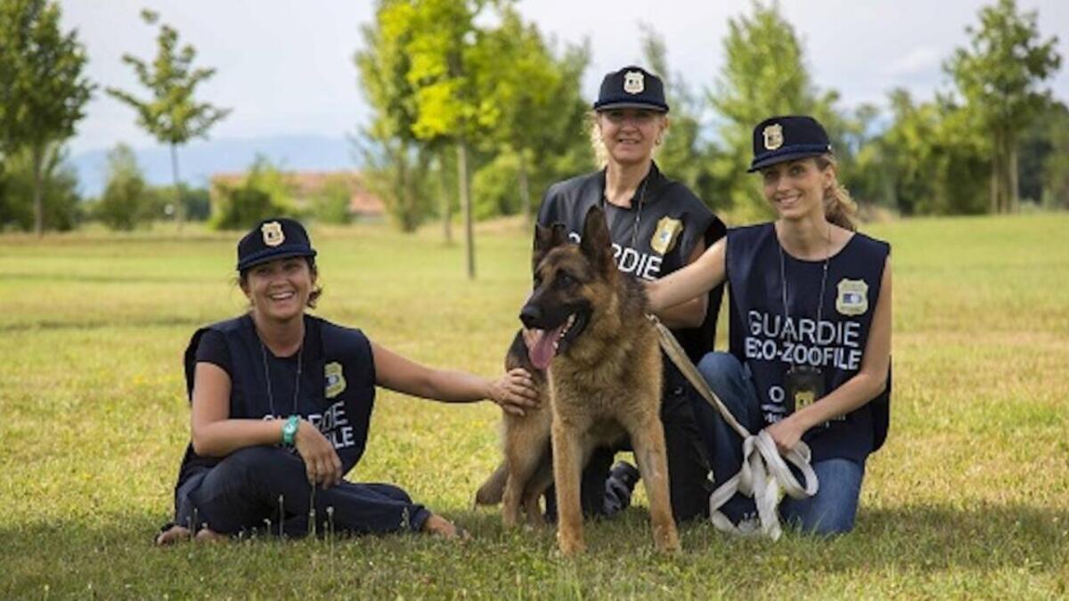 APERTE LE ISCRIZIONI AL CORSO ONLINE PER GUARDIE ZOOFILE OIPA - 