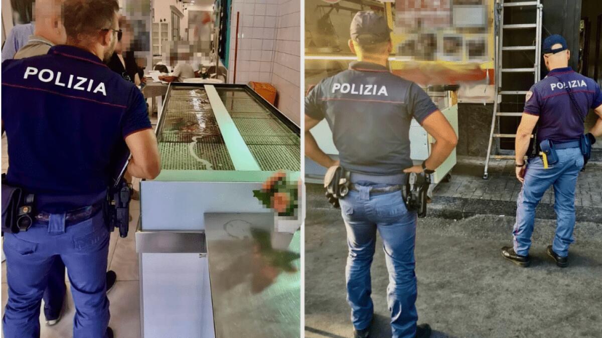 CATANIA. MACELLERIA AVEVA DUE LAVORATORI IN NERO LA PESCHERIA RUBAVA ENERGIA ELETTRICA - 