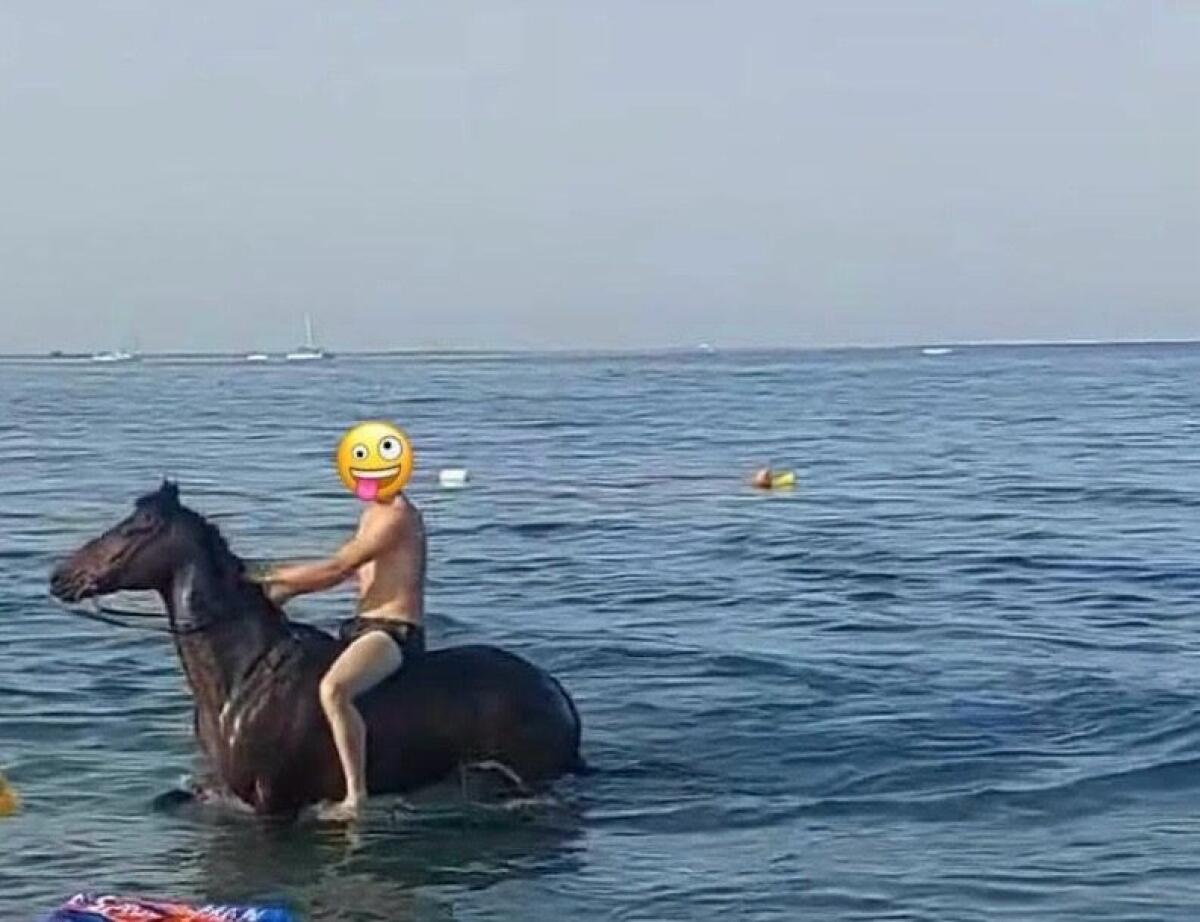 RAGAZZO SI TUFFA IN MARE CON IL CAVALLO: IDENTIFICATO E MULTATO. LE STRANEZZE DELL'ESTATE A OLIVERI - 