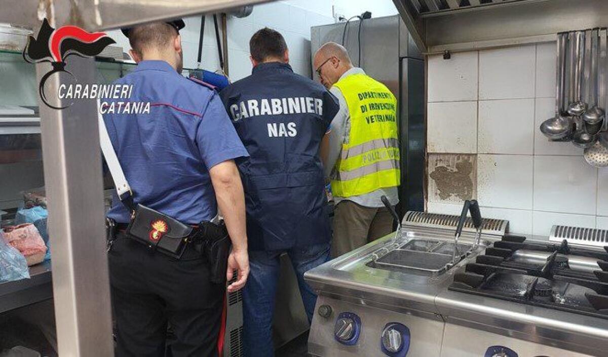CATANIA: TRE RISTORANTI DI PESCE DENUNCIATI PER PRODOTTI CONGELATI SPACCIATI COME FRESCHI - 