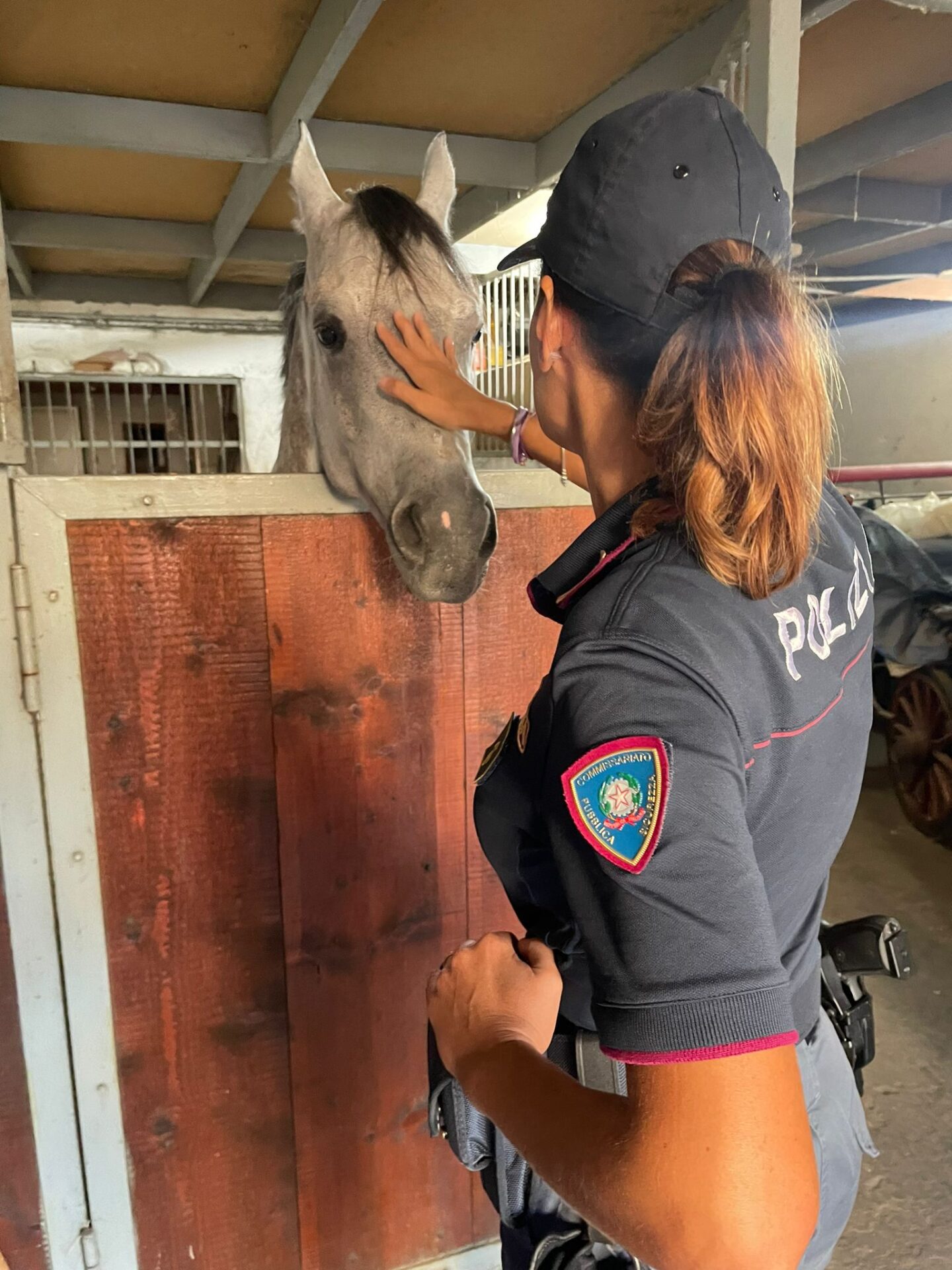 UN CAVALLO NEL GARAGE, 42ENNE DI ACIREALE DENUNCIATO PER MALTRATTAMENTO DI ANIMALI E SANZIONATO PER 9 MILA EURO