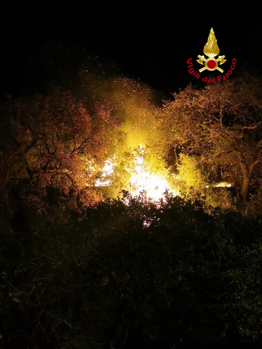 VASTO INCENDIO SULLA TIMPA DI ACIREALE: VIGILI DEL FUOCO DOMANO LE FIAMME DOPO ORE DI INTERVENTO