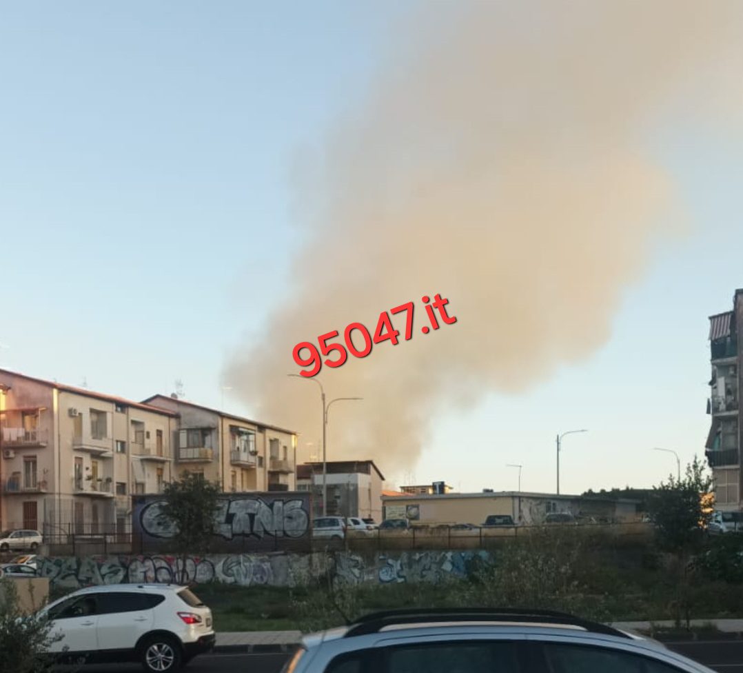 CATANIA. VASTO INCENDIO NEI PRESSI DEL CIMITERO: COLONNA DI FUMO VISIBILE DA LONTANO, VIGILI DEL FUOCO ED ELICOTTERO IN AZIONE