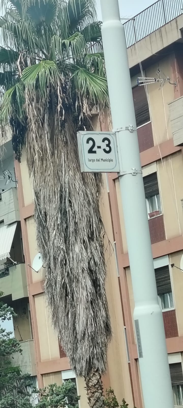 SEGNALAZIONE DI DEGRADO A LARGO MUNICIPIO, PATERNÒ: UNA SITUAZIONE PERICOLOSA DA TANTI ANNI