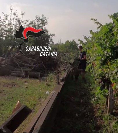 LINGUAGLOSSA. TROVATI A CASA DEL 50ENNE IN CARCERE PER LA SPARATORIA DI GIARRE FALSI DOCUMENTI PER L’ESPATRIO, IN ARRESTO CONGIUNTO