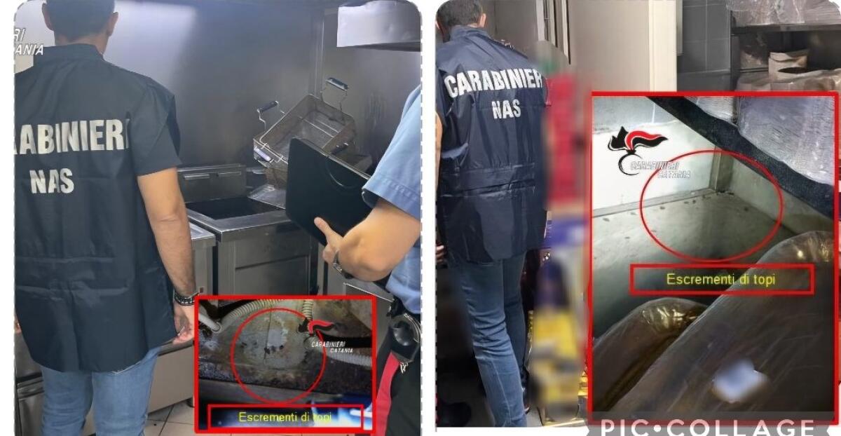 CATANIA: BAR STORICO CHIUSO DAL NAS, DOLCI TRA BLATTE ED ESCREMENTI DI TOPO - 