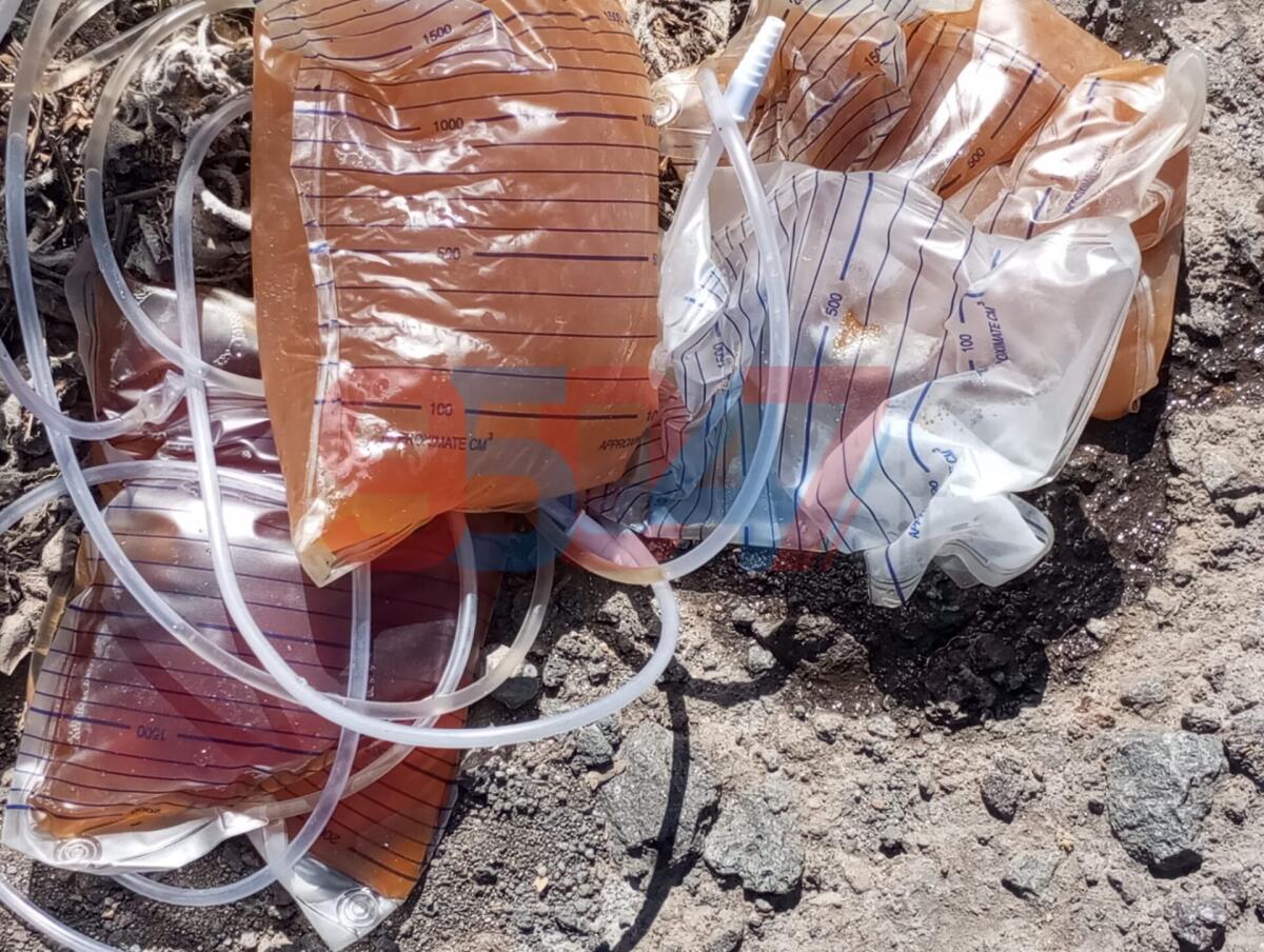 PATERNÒ.  SACCHE CATETERE CON URINA SUL TERRENO: L’INCREDIBILE SCENA DAVANTI ALL'ISTITUTO AGRARIO - 