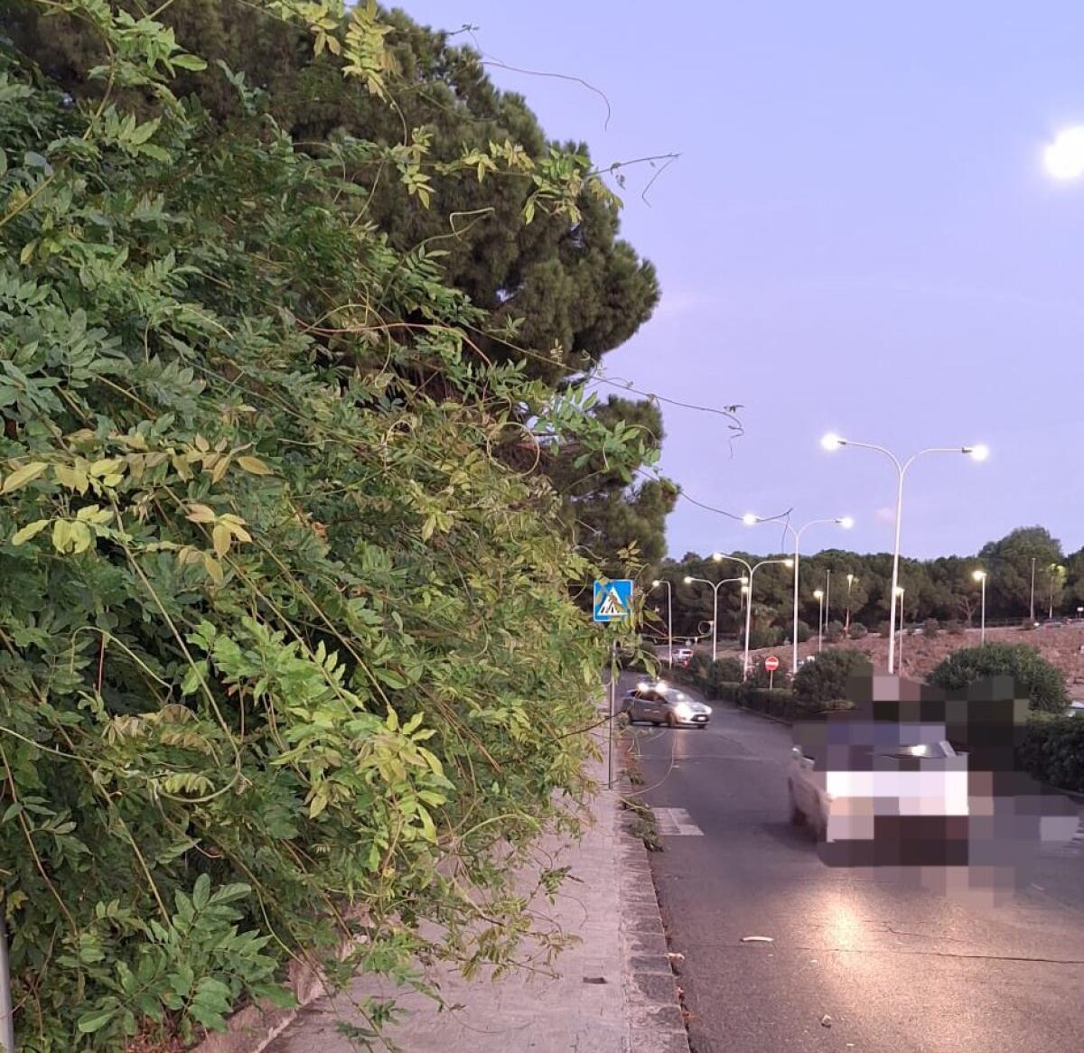 MARCIAPIEDE BLOCCATO , PEDONI COSTRETTI A CAMMINARE IN STRADA, LA VOCE DEI CITTADINI SU 95047 - 