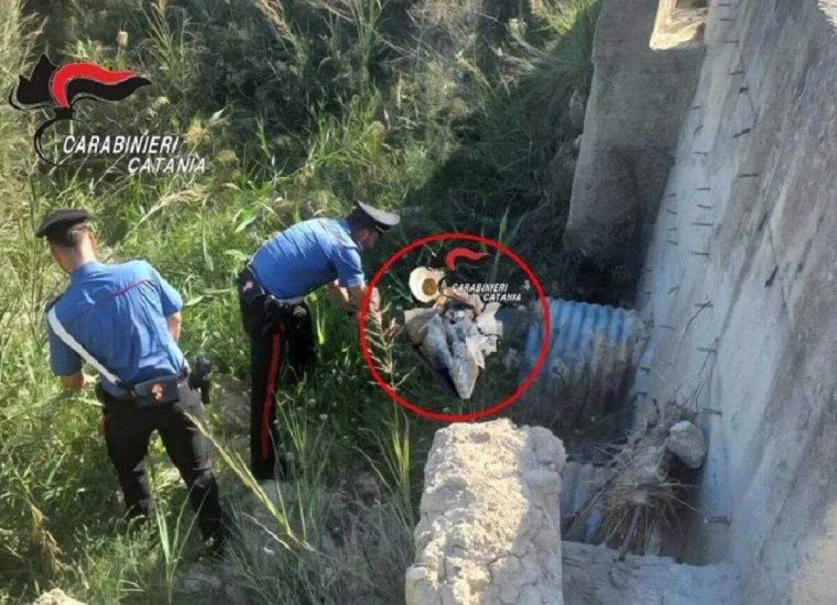 SAN MICHELE DI GANZERIA. Ritrovati 2 Kg di Marijuana e una Pistola in un Trolley - 