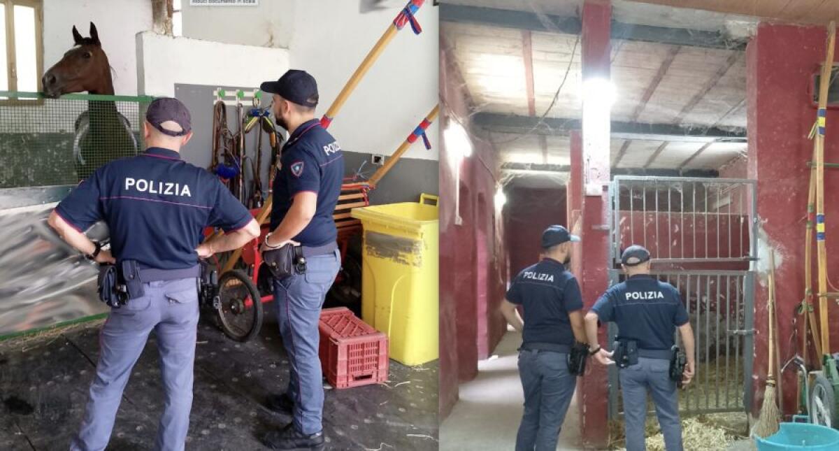 CATANIA. SCOPERTE 6 STALLE ABUSIVE A SAN CRISTOFORO, SANZIONI PER 17 MILA EURO - 