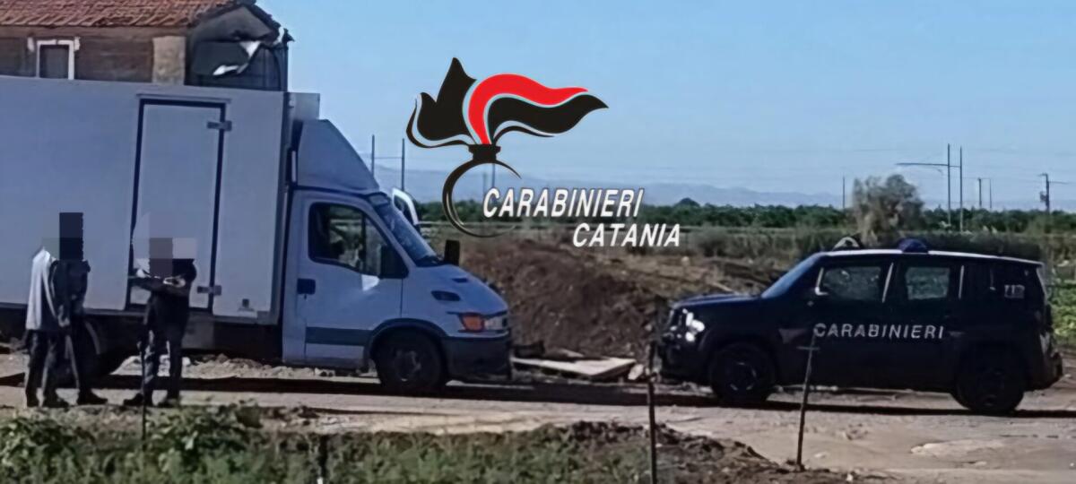 PATERNÒ. SCOPERTE DUE AZIENDE AGRUMICOLE CON LAVORATORI IN NERO E SENZA FORMAZIONE. - 