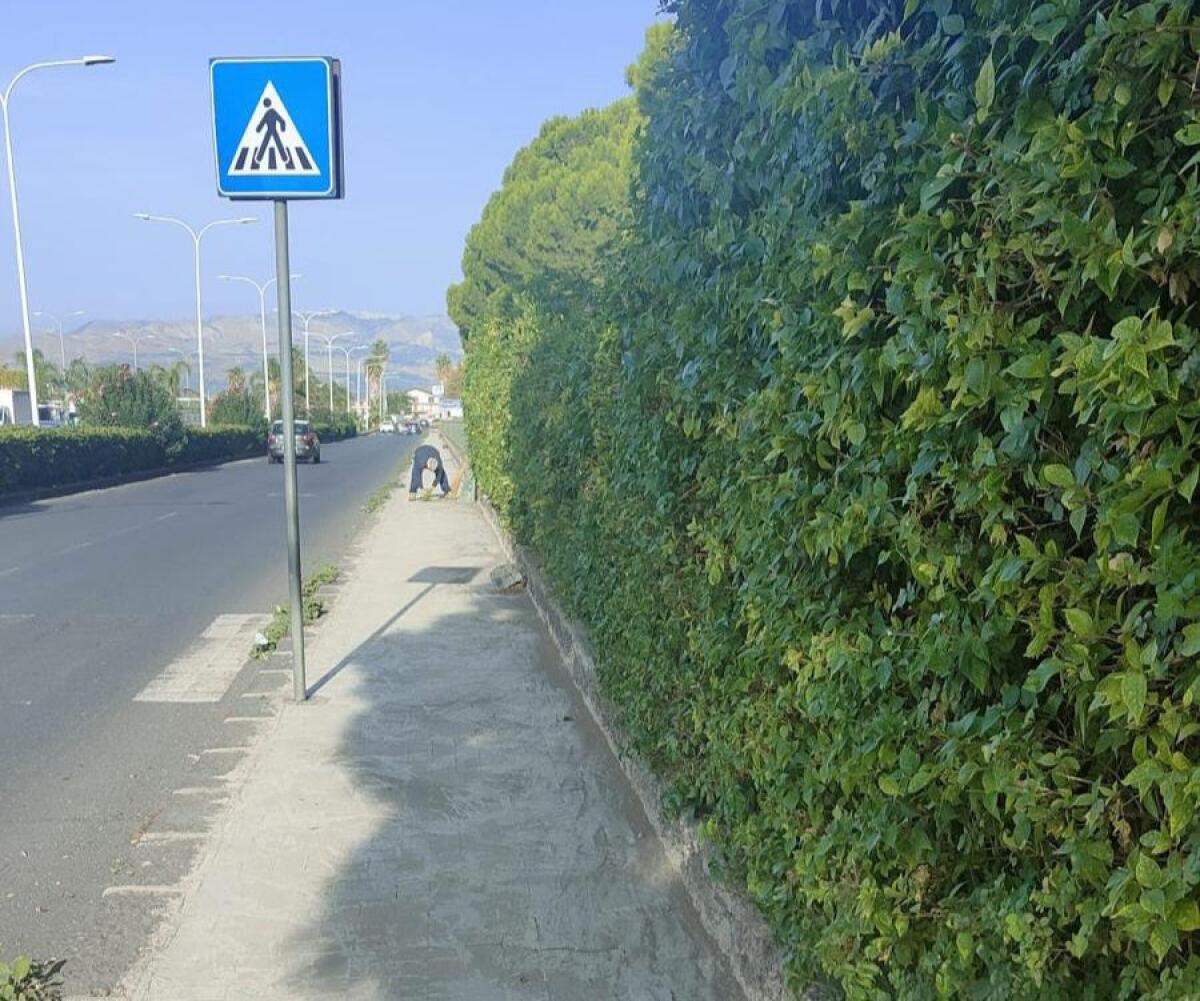 PATERNO'. INTERVENTO DELL'ASSESSORE LO FARO: TAGLIATA LA SIEPE PERICOLOSA SU CORSO ITALIA - 