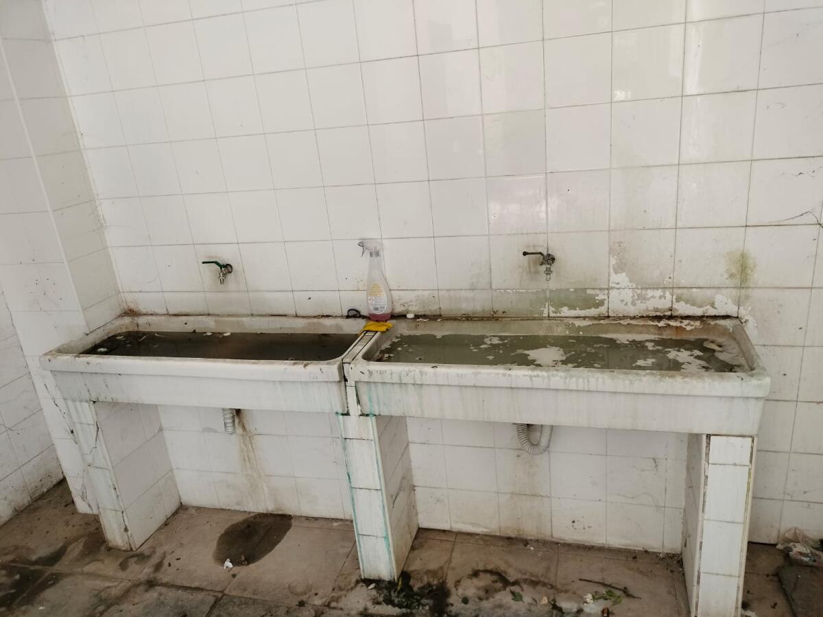 PATERNO'. IMMAGINI DI DEGRADO AL CIMITERO DI PATERNÒ: I LETTORI DENUNCIANO LA MANCANZA DI MANUTENZIONE - 