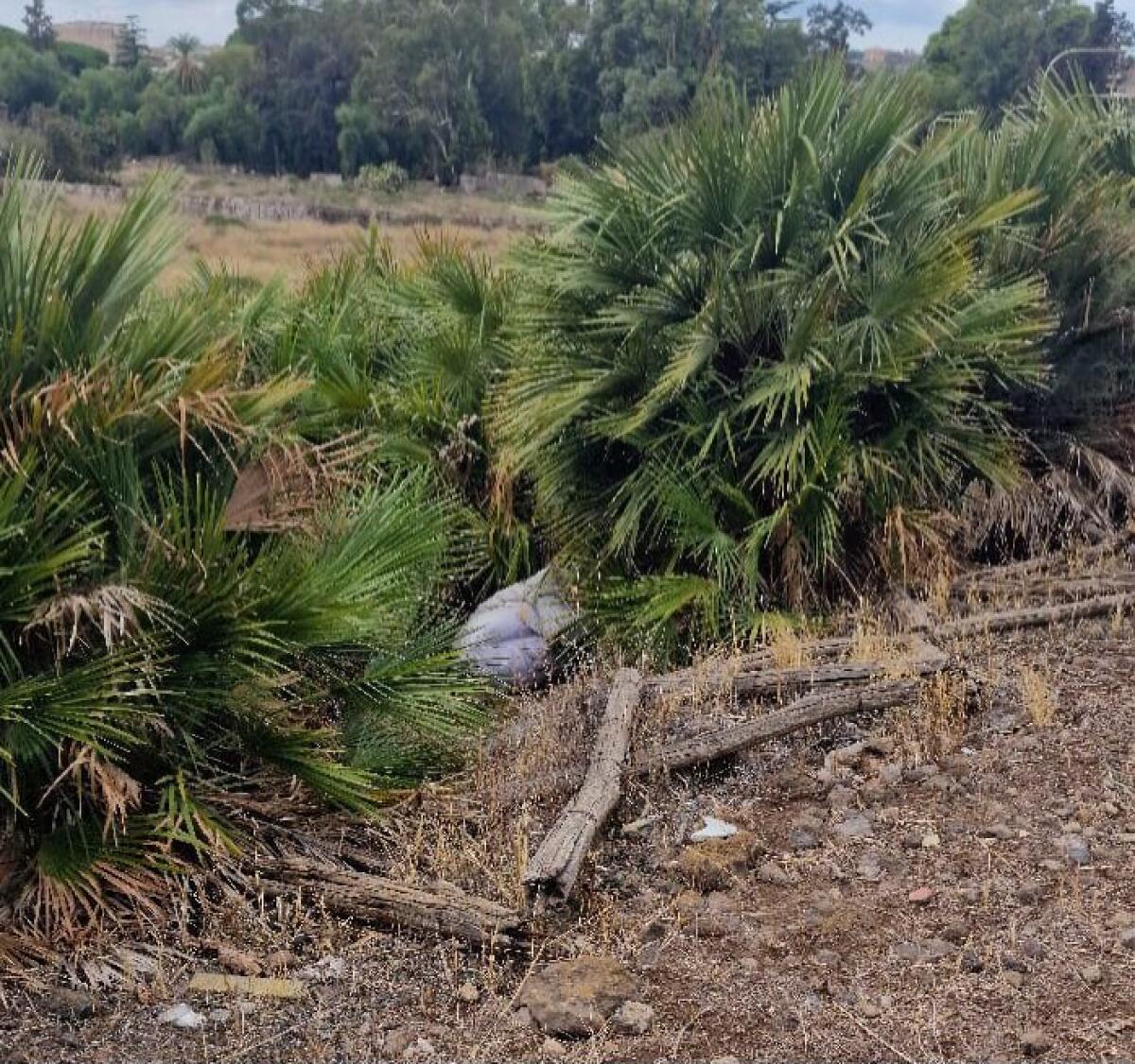 SEGNALAZIONE DEI GENITORI: MATERASSO ABBANDONATO DAVANTI ALLA SCUOLA "GIOVANNI XXIII" DI PATERNÒ - 