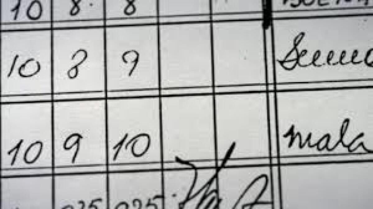 LAMEZIA TERME, PRESIDE E PROF CAMBIAVANO DI NASCOSTO I VOTI SUL REGISTRO ELETTRONICO - 