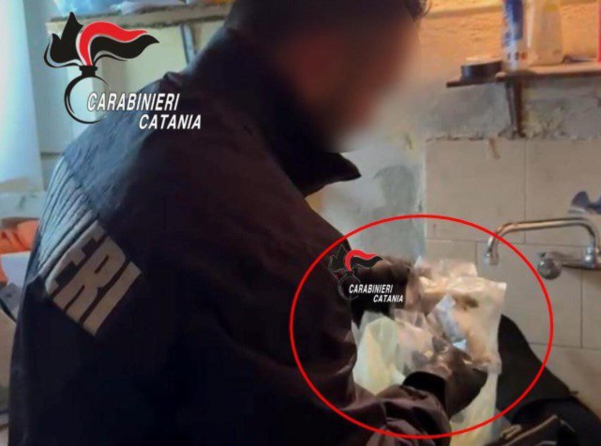 CATANIA. Nascondeva la marijuana a casa e nel motorino, arrestato - 