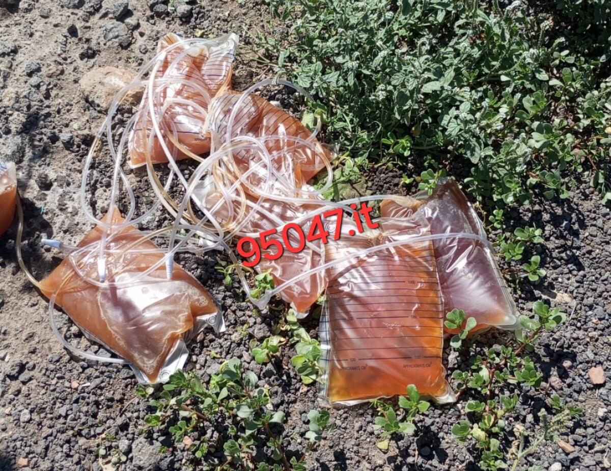 PATERNÒ. CATETERI E SACCHI DI URINA ABBANDONATI: LO SCANDALO DAVANTI ALL'ISTITUTO AGRARIO - 