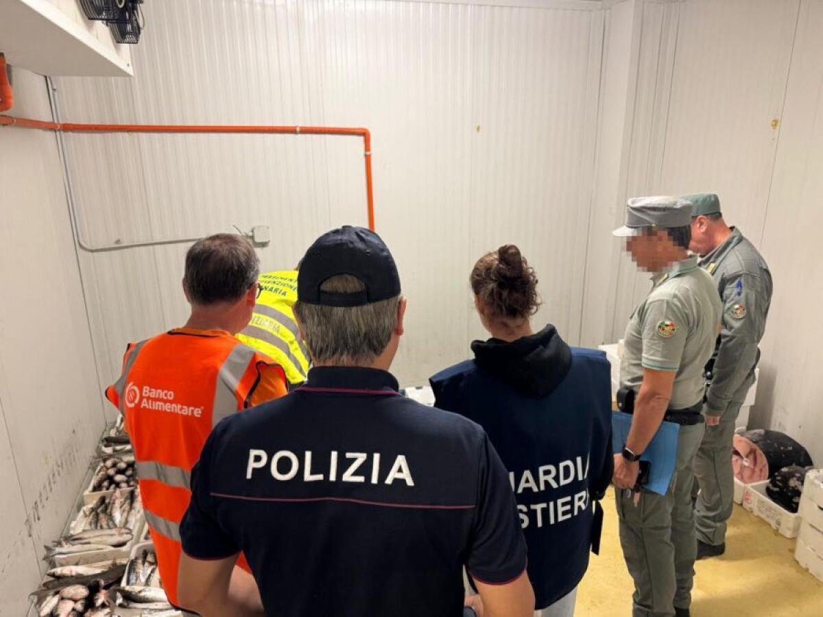VASTA OPERAZIONE DI CONTROLLO AL MERCATO ITTICO DI CATANIA: SEQUESTRATI 500 CHILI DI PRODOTTI E 950 PERSONE IDENTIFICATE - 