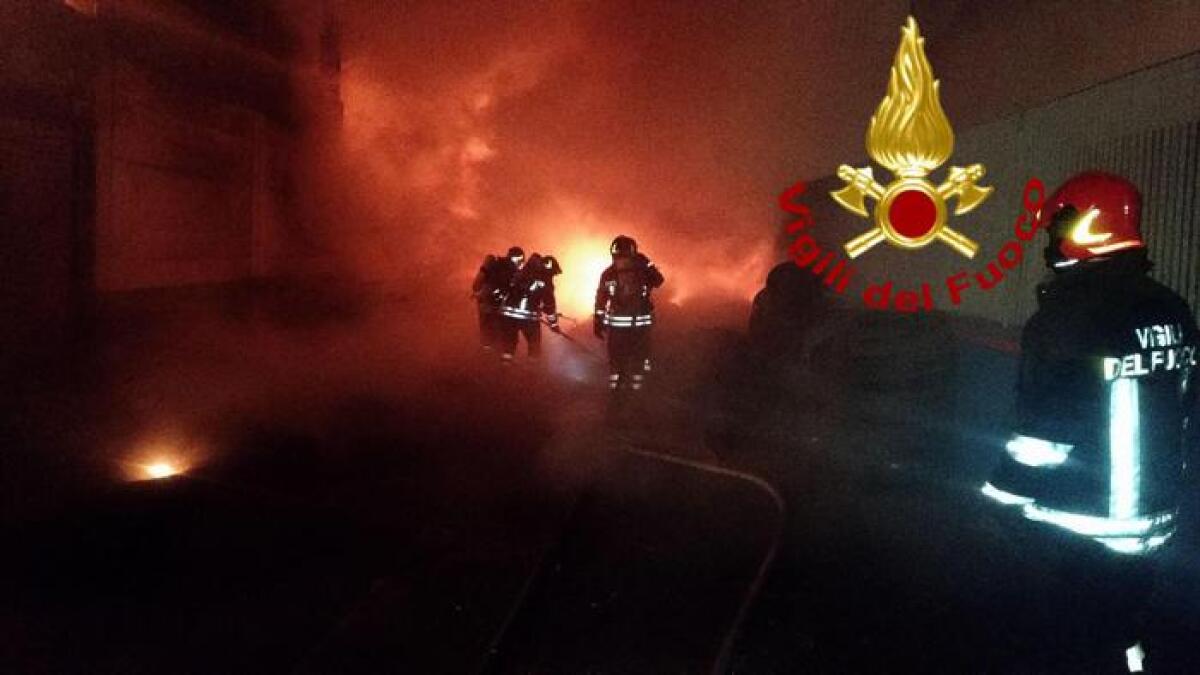 SIRACUSA. EROICO GATTO MIAGOLA E SALVA LA FAMIGLIA DA UN INCENDIO, MA PERDE LA VITA TRA LE FIAMME - 