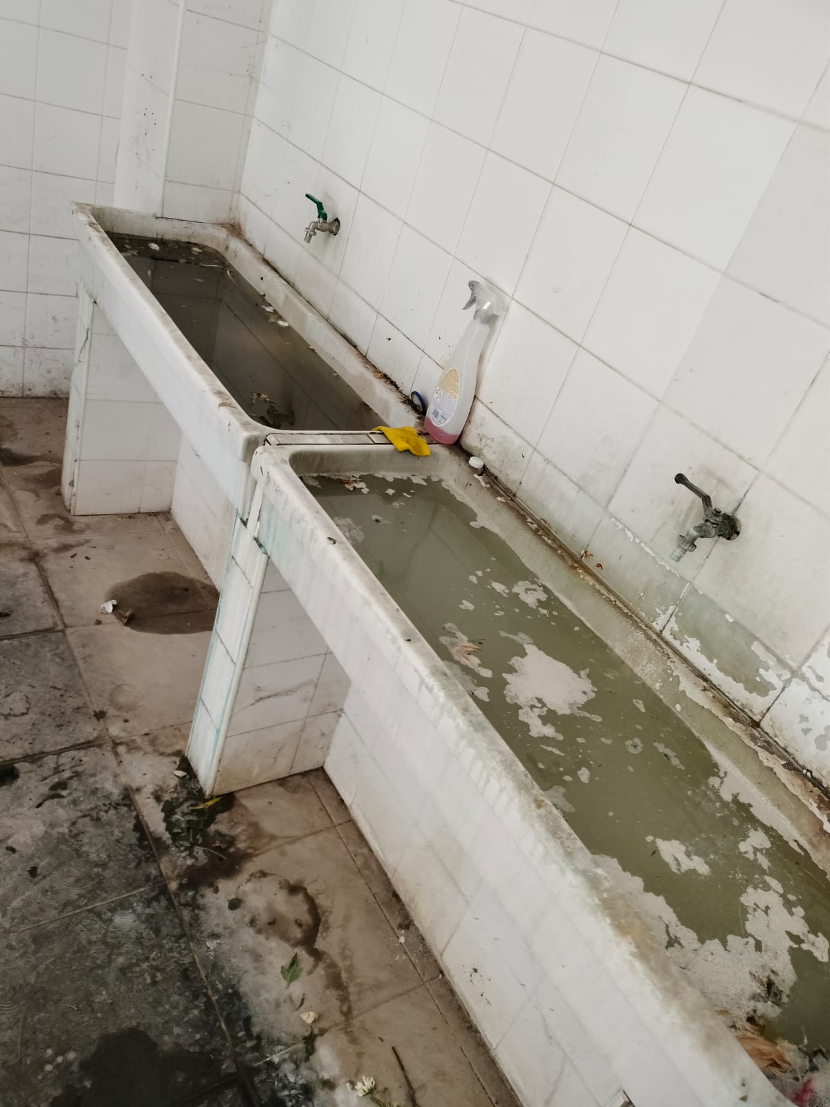 PATERNO'. IMMAGINI DI DEGRADO AL CIMITERO DI PATERNÒ: I LETTORI DENUNCIANO LA MANCANZA DI MANUTENZIONE