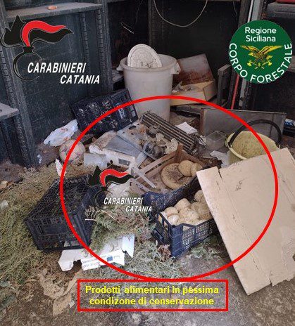 PEDARA. FORMAGGI, FUNGHI E UOVA CONSERVATI MALE. DENUNCIATO UN AMBULANTE ABUSIVO