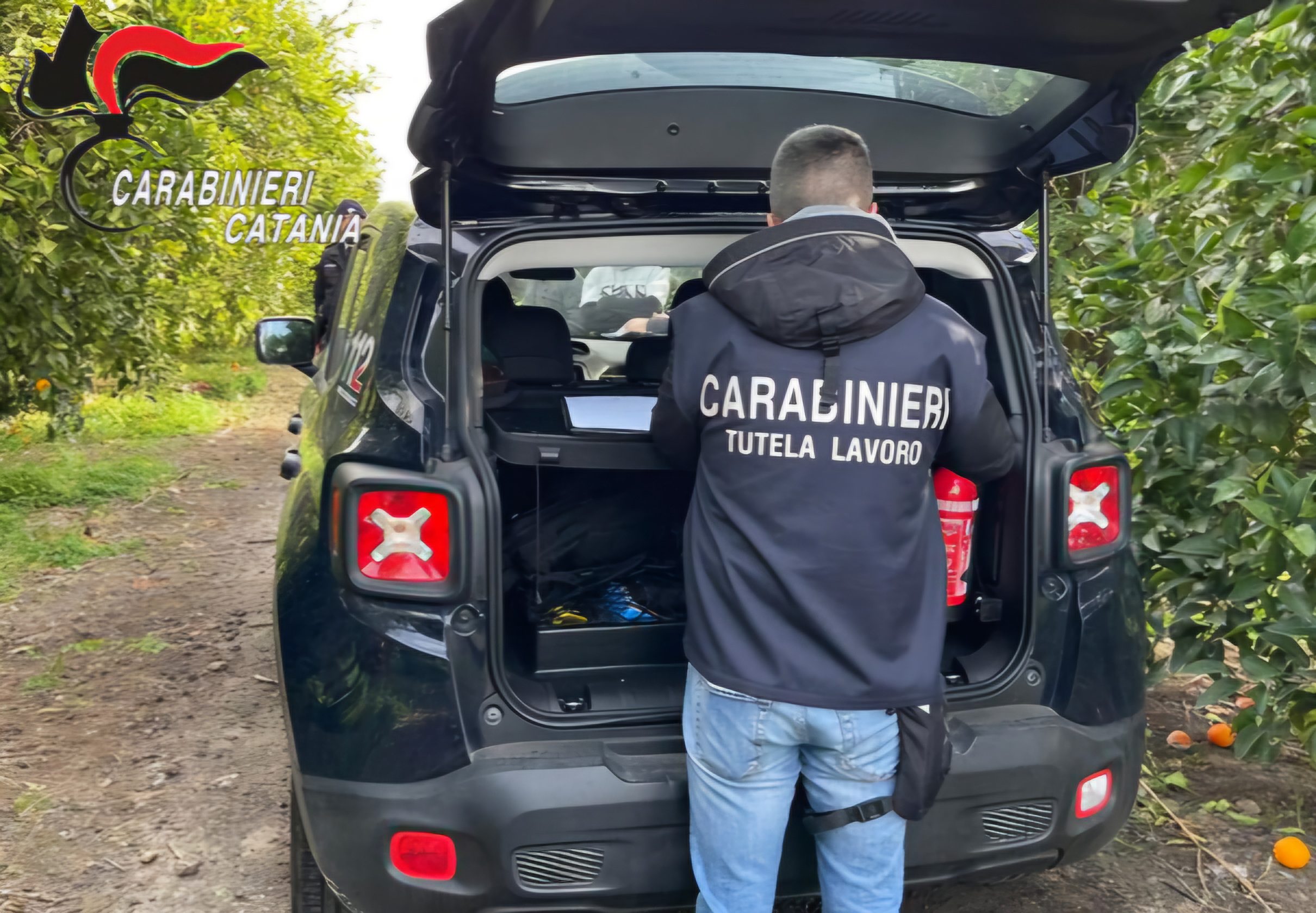 PATERNÒ. SCOPERTE DUE AZIENDE AGRUMICOLE CON LAVORATORI IN NERO E SENZA FORMAZIONE.