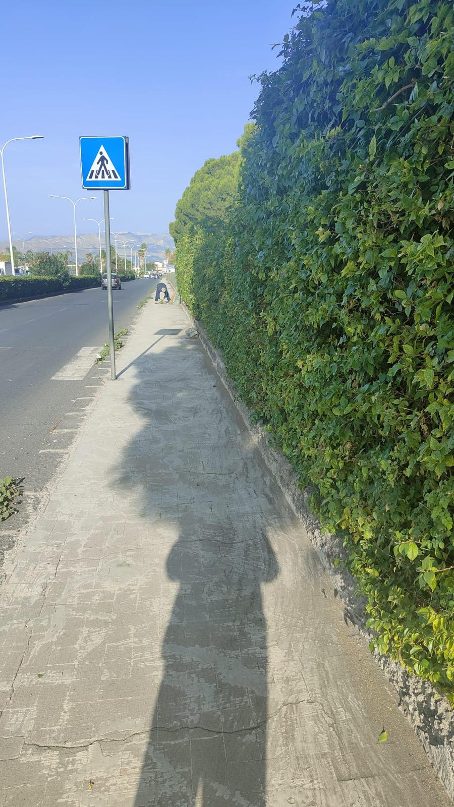 PATERNO'. INTERVENTO DELL'ASSESSORE LO FARO: TAGLIATA LA SIEPE PERICOLOSA SU CORSO ITALIA