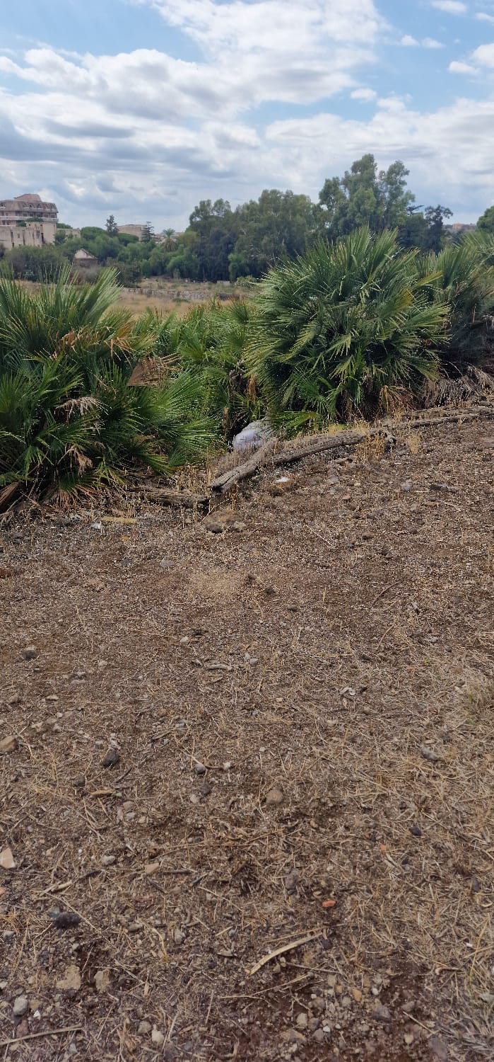 SEGNALAZIONE DEI GENITORI: MATERASSO ABBANDONATO DAVANTI ALLA SCUOLA "GIOVANNI XXIII" DI PATERNÒ